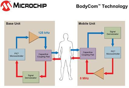 نظام جديد يحوّل الجسم بأكمله إلى شبكة تفتح الأبواب إلكترونياً